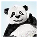 TinyPNG